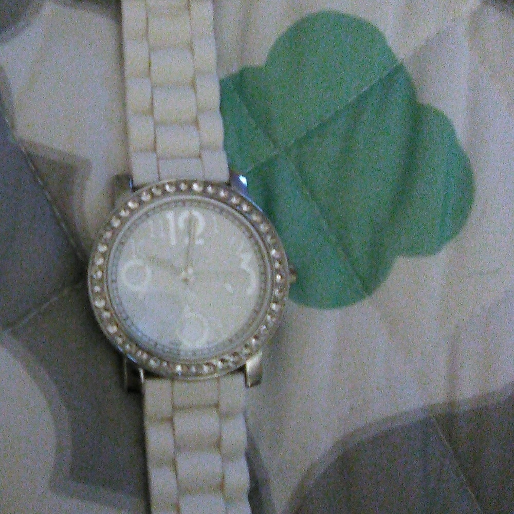 Us polo assn watch